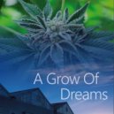 Dane Giordano - A Grow Of Dreams ()