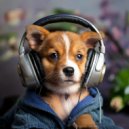 432Hz Miracle Hz Tones & Music For Dogs To Sleep & Dogs Relaxing - Soft Canine Patterns