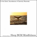 Sleep BGM Mindfulness - Balancing Inner Emotions with Emotional Tranquility Sounds (Original Mix)