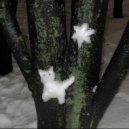 как разорвать собаку пополам - поправляйся ()