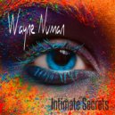 Wayne Numan - Intimate Secrets