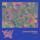 Carlos Pineda - I Need (Original Mix)