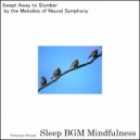 Sleep BGM Mindfulness - Neural Dreams Flowing with Solfeggio Rhythms