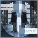 Marco Simeone - Ay yo Lily
