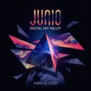 Junio - Roads