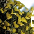 Kiwiani & Misue - In The Light ()