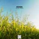 Briel Hollm - Normal Signals
