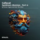 Callecat & Forty Cats - Interconnecting Echoes (Into The Ether Remix)