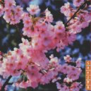 LYOVKINN - sakura ()