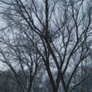 coldfear - soulless ()