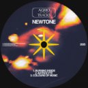 NewTone - Burning Inside (Original Mix)