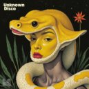 Unknown Disco - Bring Me Back Home