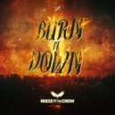 Noize Of The Crow - Burn It Down