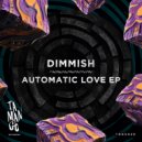 Dimmish - Mind The Gap (Original Mix)