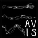 Avis - What Makes It Pretty On Her