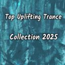 Obsidian Project - Angel (Wadnes Band Remix)