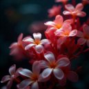 Amida Takahashi - 花の雨