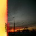 Panda In Shell - Sea Lion ()