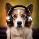 Stress Buster & Music for Dogs Rhythms & Outstanding Dog Walking Music - Relaxing Dog Lullaby
