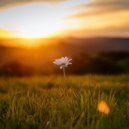 Palacio pacífico & Relax total & Ambiente Relajante de Música - Flotando En Un Descanso Profundo ()