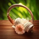 Chill Out Beach Party Ibiza & Spa Relaxation Music & Spa Salon - Serene Sound Essence ()