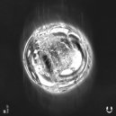 5X - Fever VIP