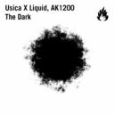 Liquid, AK1200 & Usica - The Dark (Original Mix)