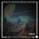 Space Frogs From Saturn - All Night (Original Mix)