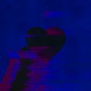 Dynasty17 - Snowdrop ()