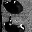 егор шумило - интро ()