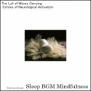 Sleep BGM Mindfulness - Finding Solace in the Realm of Sound Healing and Rest (Original Mix)