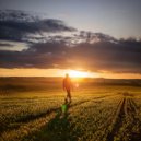 Almuerzo con reposo & Sonidos de lluvia agradables & Efectos de sonidos del océano - Una Banda Sonora A La Vida ()