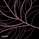 Claritate - Veins (Radio)