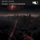 PILSO & crimsonriider - BASS LEVEL ()