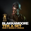 P Skinna, Liondub - Bad Intention Riddim