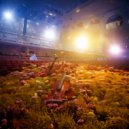 Pan Flute Music Society & Forest Soundscape & Elevator Background Music Classics - Gentle Chord Blends