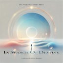 David Herrera - In Search Of Destiny ()