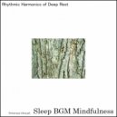Sleep BGM Mindfulness - Enchanted Sounds Mingle with Emotional Waves for Serene Sleep