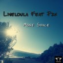 Liveloula & Pzk - More Space