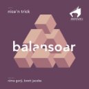 Nice \'N Trick - Acidulescu (Nima Gorji Remix)