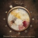 Tom Vaylo & Twilight Pearl - Secret Spice (feat. Twilight Pearl) ()