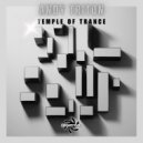 Andy Triton - Lunar Journey