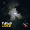 FullSize - Sequoia (Original Mix)