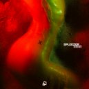 Spleezer - Guns In My Pocket