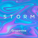 Elkana Paz - Grapevine