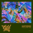 Santorino - Follow Me (Original Mix)