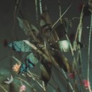 Blancah - The Garden of Morning Calm