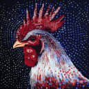 Chook Feelings - CHOOKI LOVES TECHNO (EXT)