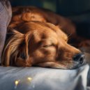 Latidos de la soledad & Música para Perros Seducción & Música Chill para Perros - Acordes Acogedores Del Perro