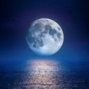 Lo que pasa con el ruido & Proyecto Tormenta Global & Bosque Ocupado - Las Vibraciones Tranquilas Calman Cada Noche ()